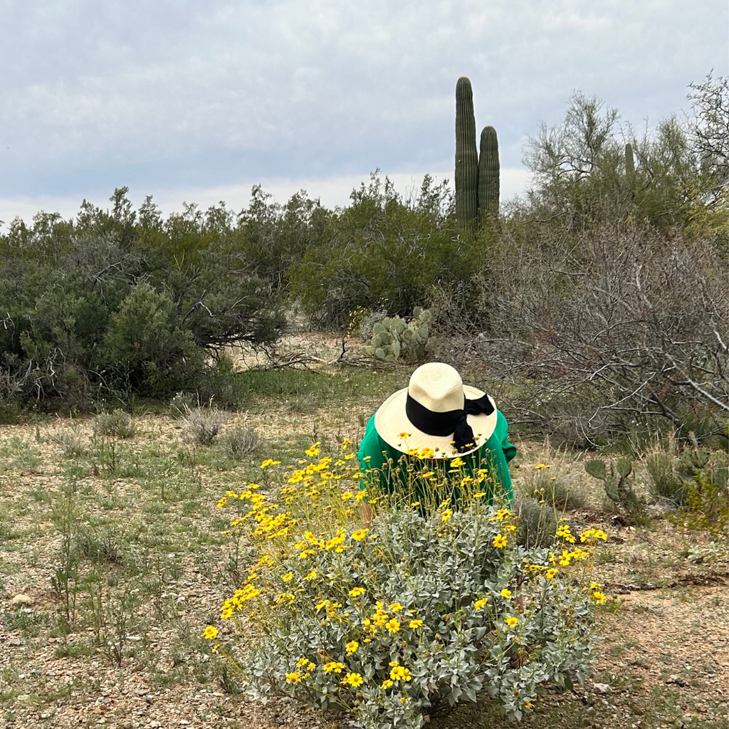 KATE - PANAMA SUN HAT