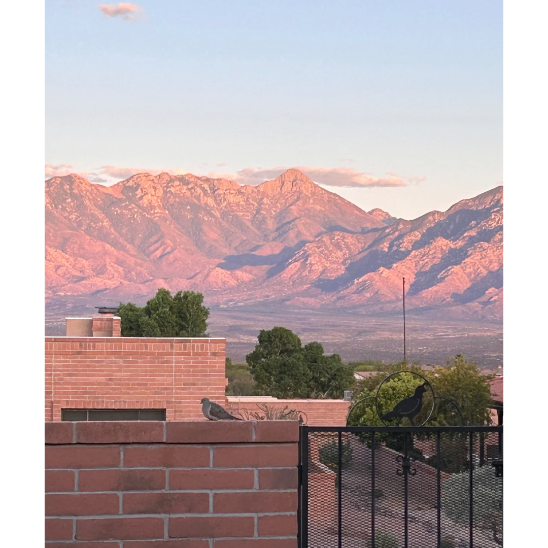 The Santa Rita - Katherine's pick