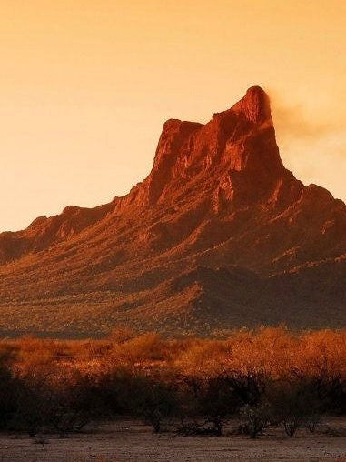 Picacho Peak Percher